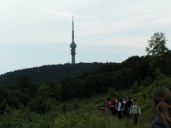 PICT0826 (web)